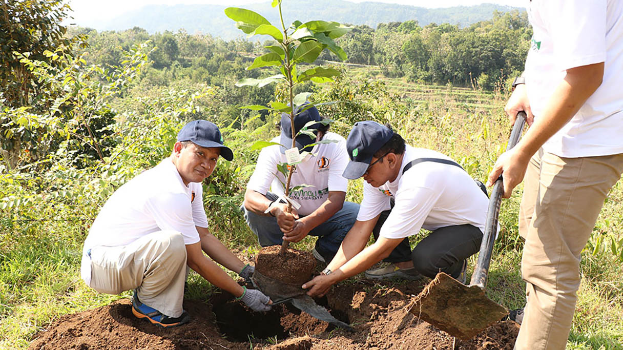 Menanam Harapan di Puncak Bucu, Yogyakarta